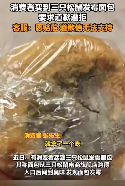 三只松鼠发霉面包事件：网友要求道歉，客服赔偿2000元【无道歉信】