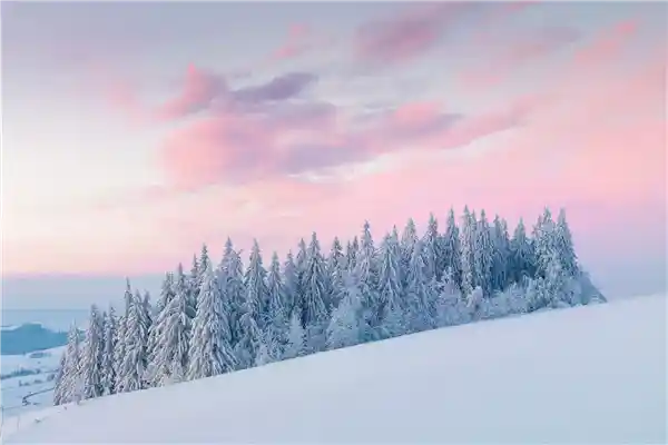 百万粉丝网红滑雪意外骨折，医学奇迹：体内植入24颗钉子的震撼治疗