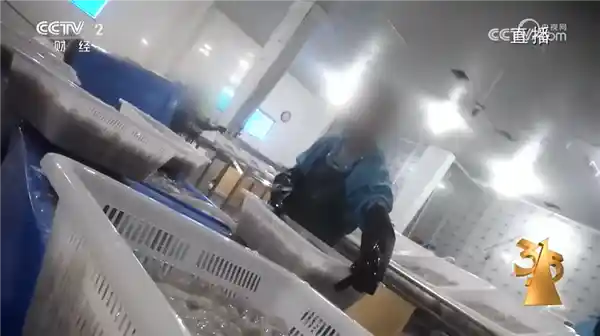 315晚会曝光：惊人！1斤保水虾仁竟只有7两冰？