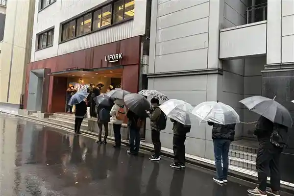 AMD显卡在日本市场大获成功！市场份额猛增至45％