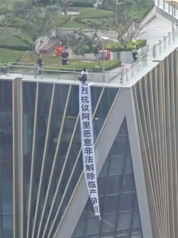 《阿里淘宝买菜事件追踪：孕期外包女员工楼顶维权背后真相揭秘》