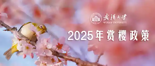 雷军凌晨赴武大打卡：避开人潮的独家记忆