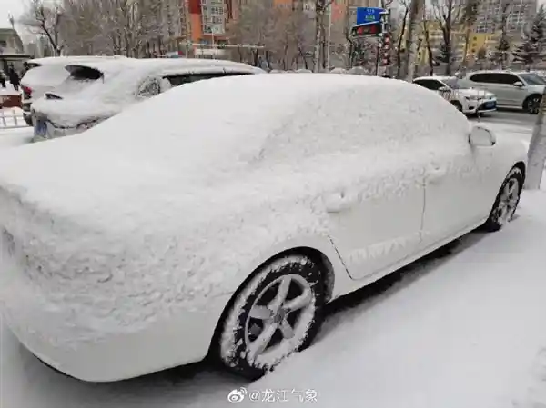 《春雪奇观：哈尔滨3月末再披银装》