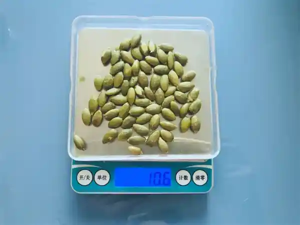 《每天一把南瓜籽，竟藏着这些惊人的健康秘密！》