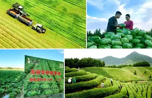 《方便面巨头火力全开：这次玩真的！》