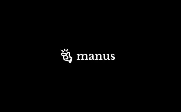 《Manus推出全新付费计划：顶级服务每月仅需199美元》