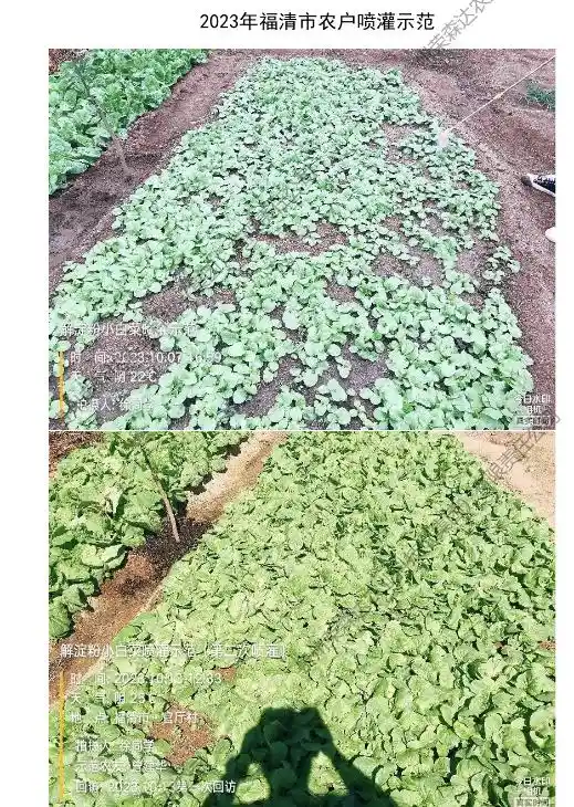 荣森达万丰肥业生物菌有机肥厂重启——科技引领绿色未来，重塑有机肥新纪元