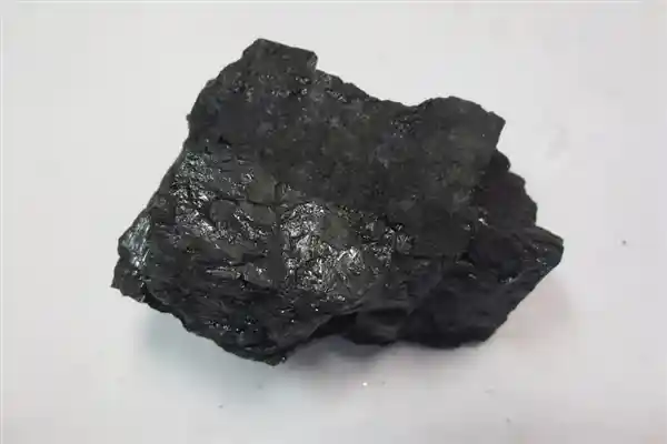 118年开采！亚洲最大露天煤矿掀开百米厚煤层，揭秘古代植物的神秘归宿