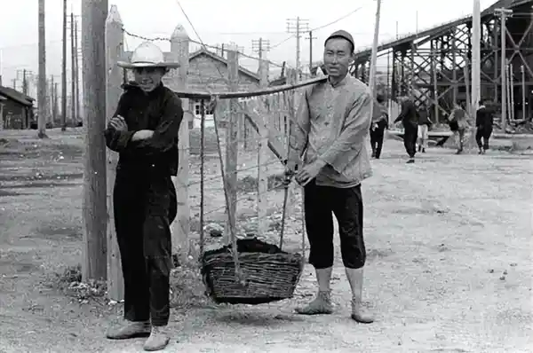 118年开采！亚洲最大露天煤矿掀开百米厚煤层，揭秘古代植物的神秘归宿