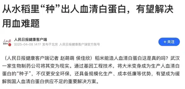 中国大米可替代美国人血浆，开创新型蛋白生产方式