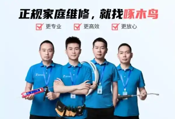 315点名！小毛病暴露大修难题，匠心整改方案曝光！