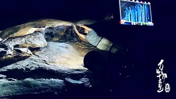 《万物之生·贵州篇》：8K超清呈现自然奇观，斩获广电总局2024年度推优殊荣