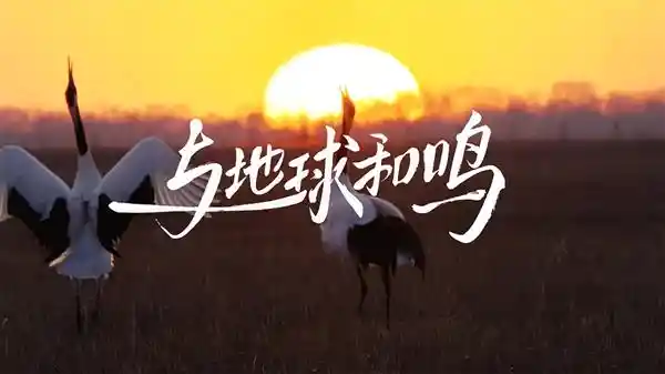 《与地球和鸣：华为世界地球日短片独家空间音频体验上线》