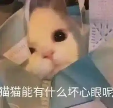 《太好了？仅退款竟让局面彻底反转！》