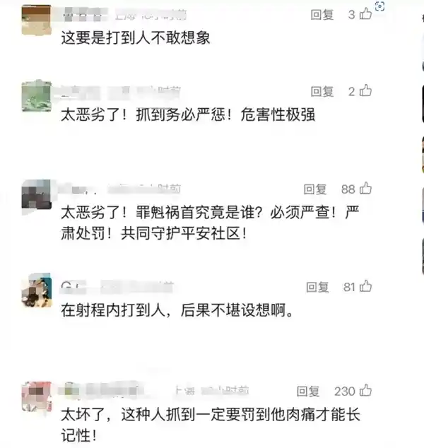 外卖员用弹弓破坏电动车玻璃：网友怒斥，需严惩