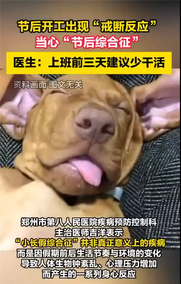 工作狂欢后的戒断综合症：医生建议开工前三天轻松调整