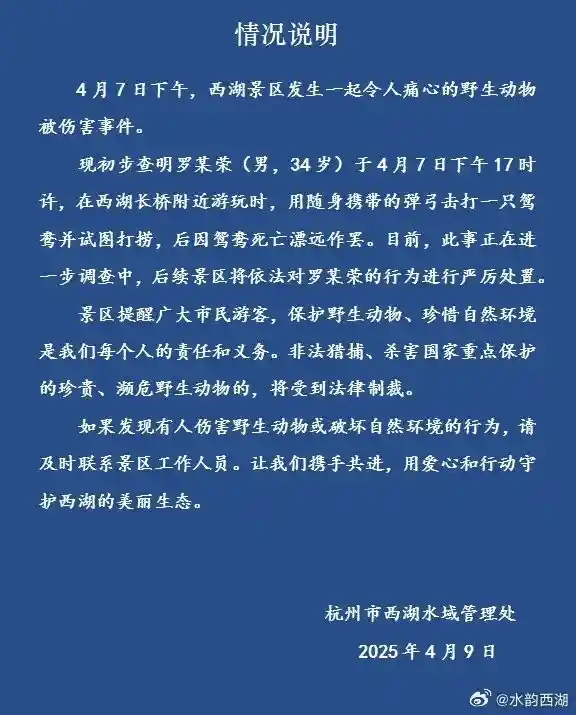 34岁男子弹弓射杀西湖鸳鸯 惊人一幕！