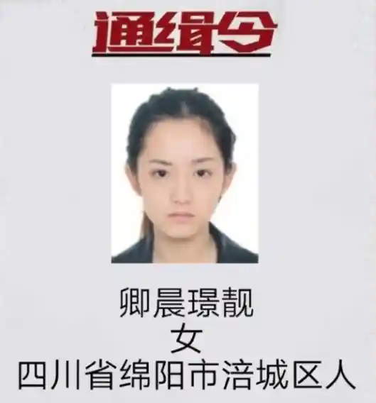 《靠嘴红还是靠案底？网红界的另类生存法则》
