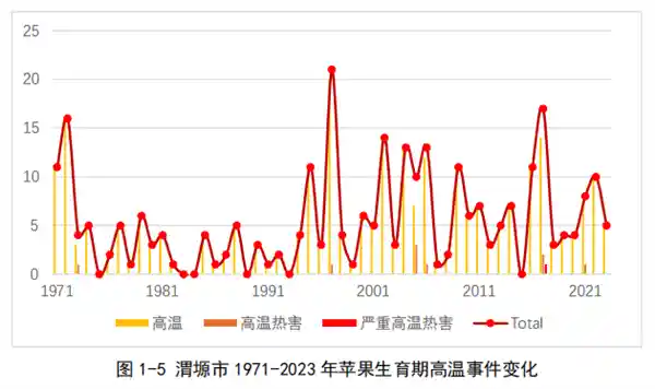 《苹果价格飙升，钱包喊吃不起！》