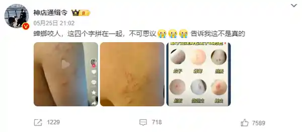 《蟑螂咬人上热搜？<博物杂志>深度解析与科学辟谣》