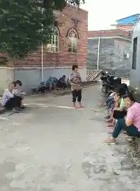 《澳洲鹦鹉演绎喝水秩序之美：耐心排队竟达十分钟》