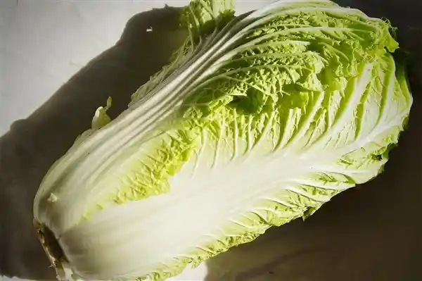 《2025年白菜风云再起：韩国金菜危机警报拉响》