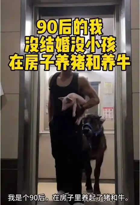 出租屋里养牛励志不为牛马小伙两月被扫地出门两次