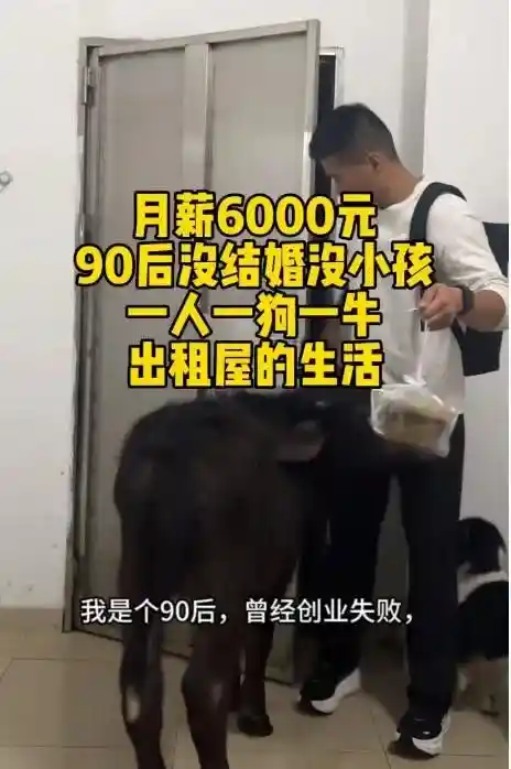 出租屋里养牛励志不为牛马小伙两月被扫地出门两次