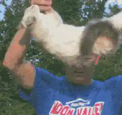 奇迹生还！猫咪从16楼坠落竟安然无恙 网友：猫界逃生高手？