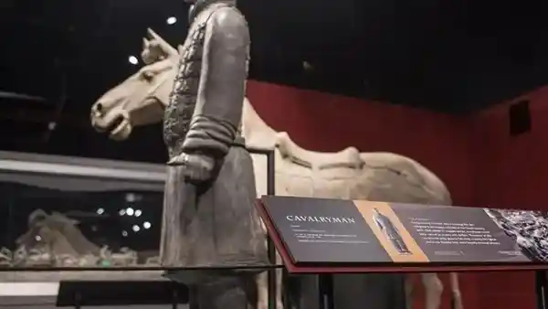 《六载跨国追查：美国男子盗掰兵马俑拇指的惊人内幕》