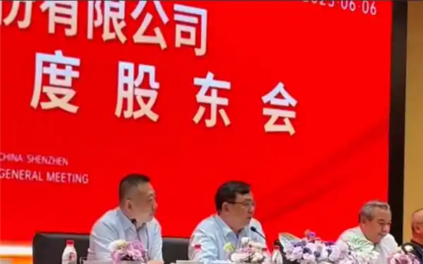 股东倾囊押注比亚迪，王传福动容哽咽：我的心中唯有这家企业