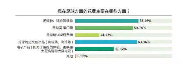 100吋大屏引爆球迷客厅，白皮书发布揭示中国足球新未来