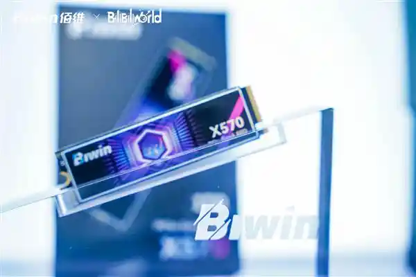 佰维存储联名TES战队，开启Bilibili World 2025硬核新篇章！