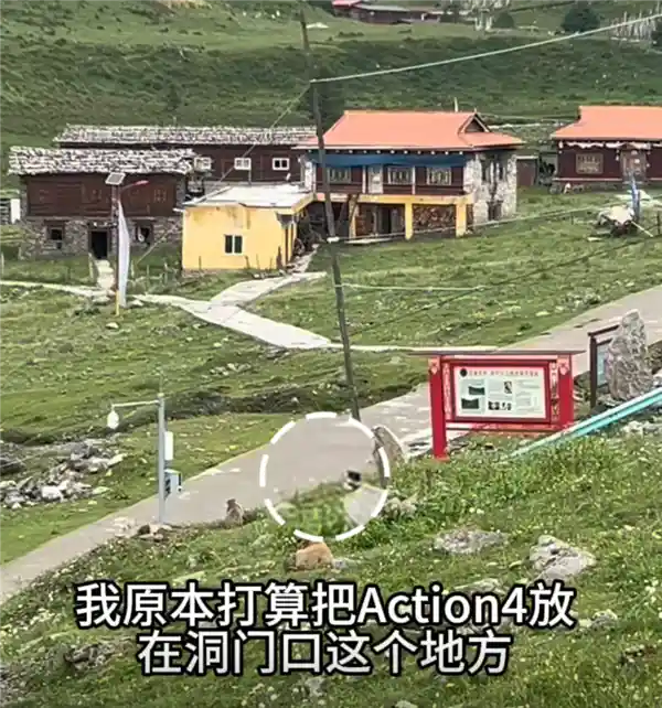 大疆Action 4竟遭土拨鼠劫持？客服听后忍俊不禁