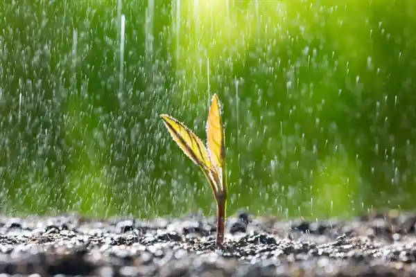 雷军雨中健身引热议：硬核打卡登上热搜榜首