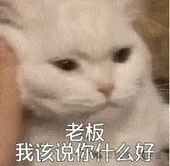 假简历骗薪5倍！印度程序员搅动硅谷AI圈