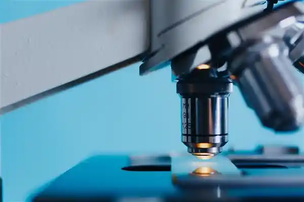 2025科学谜题揭晓：暗能量之谜与台风异常引关注