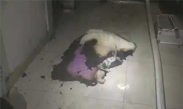 新买的手机充电器未拔，男子回家发现卧室被烧