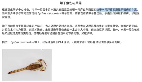 貌如土豆，贵比黄金！泰国王妃狂爱的神秘果你吃过吗？