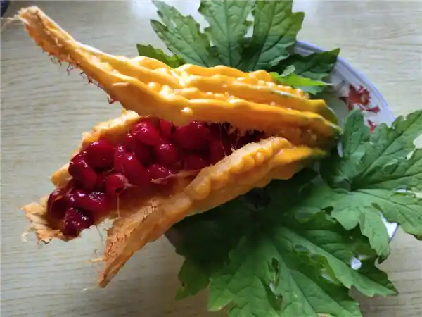 苦瓜成年龄密码？吃出年轻还是暴露年纪？