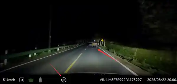 问界M7夜路惊现大黑牛：AEB系统暗光中紧急刹停引热议