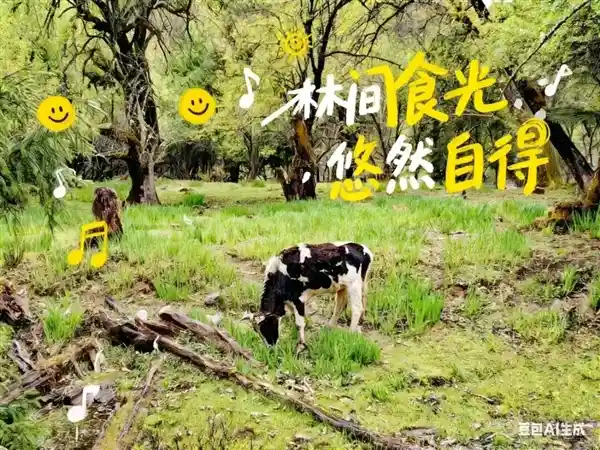 豆包P图功能大升级，网友疯狂玩出新花样！